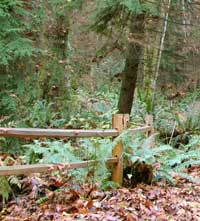 Soil stockpiles limit disturbance to the construction area
